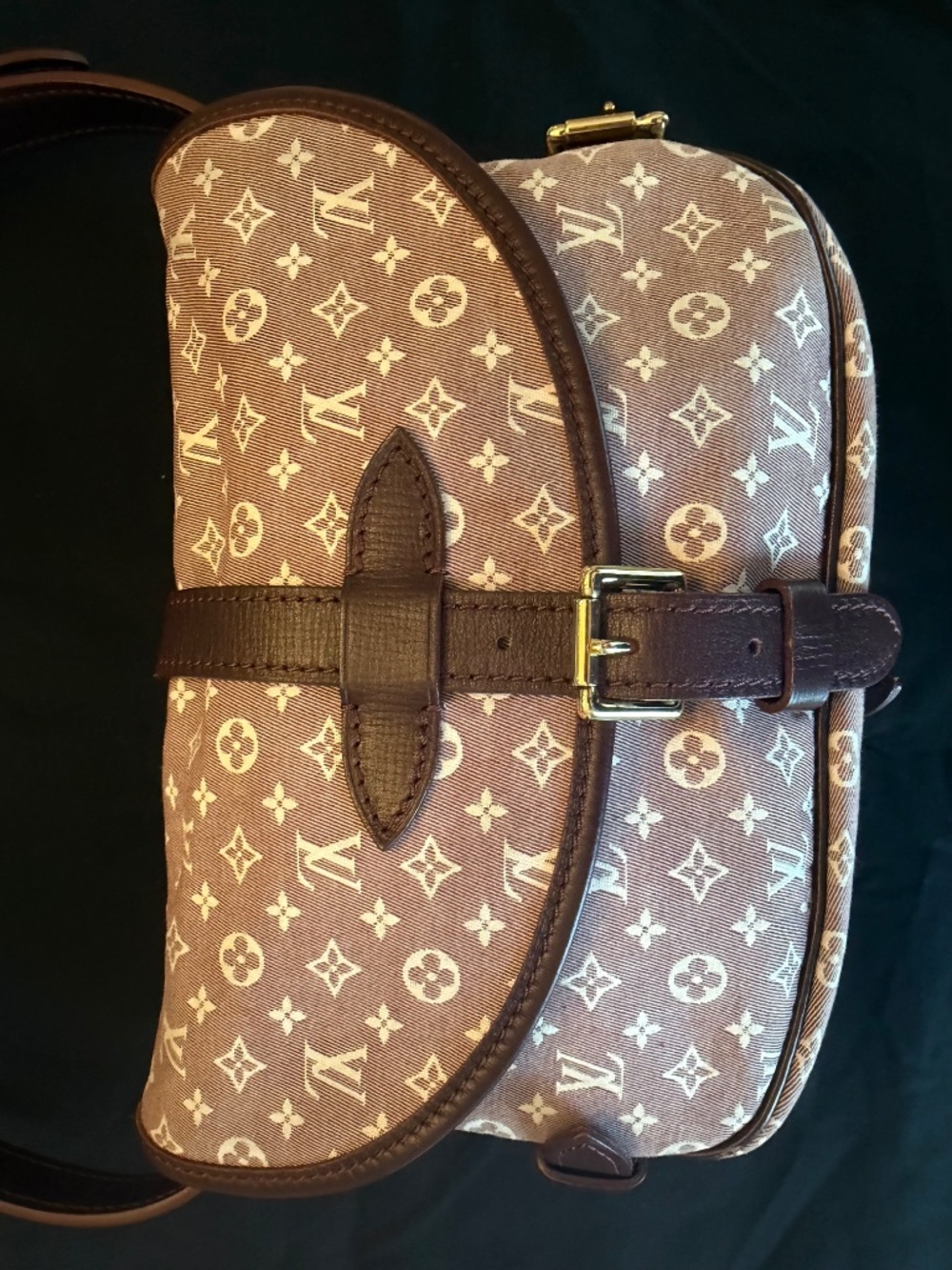Louis Vuitton Vintage 2012 Sepia Monogram Idylle Saumur PM 20 Canvas Crossbody - Picture 6 of 16